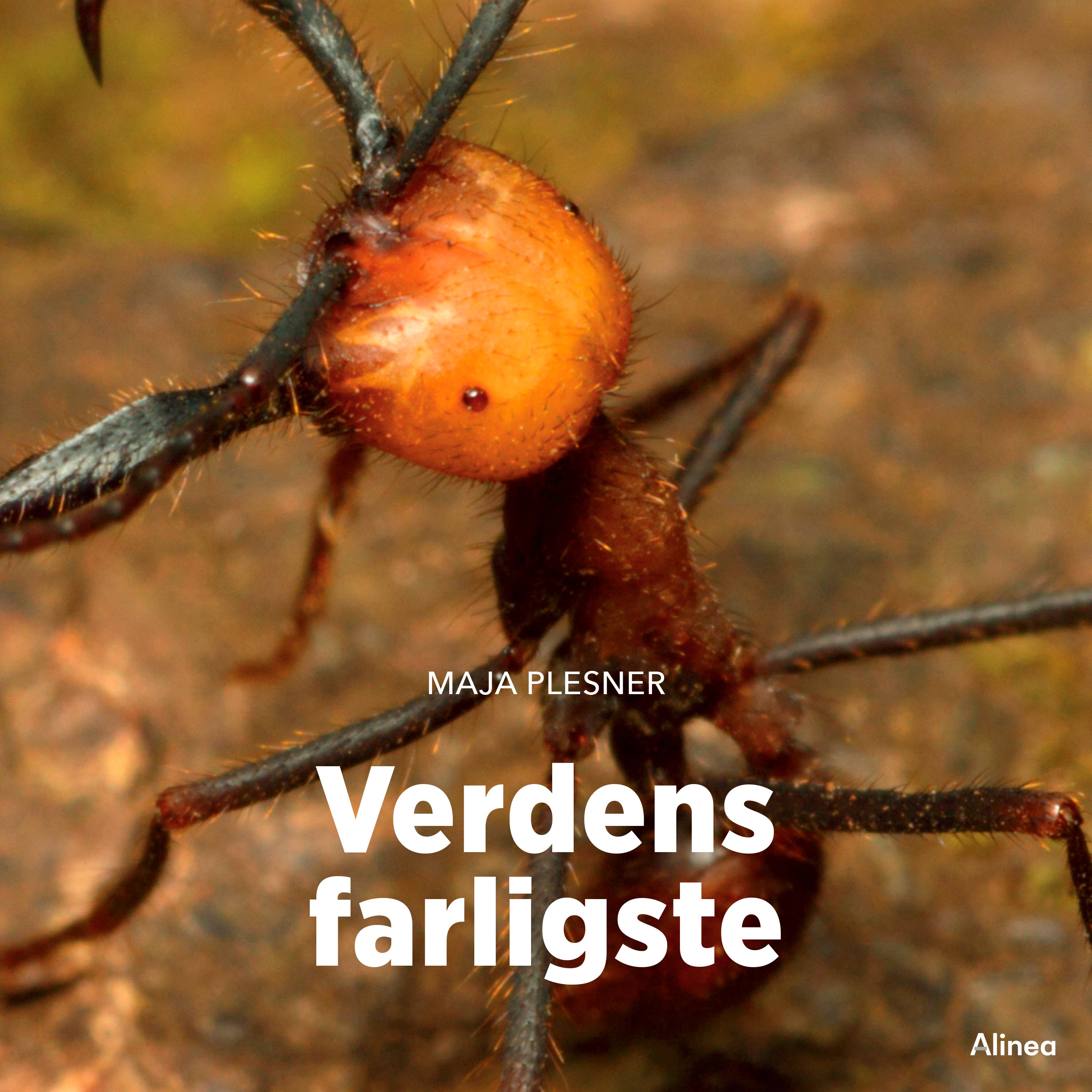 Forside billede
